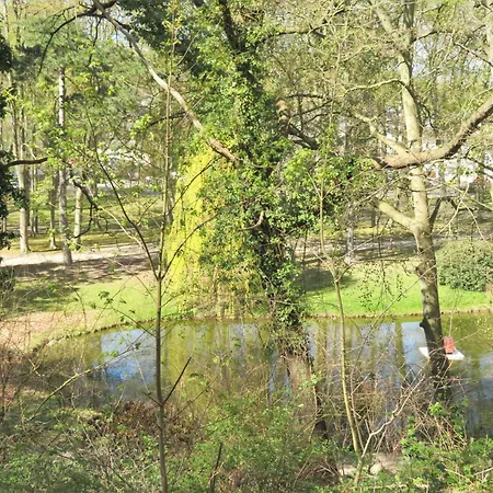 _brise_ Am Buchenpark Neuhof (Heringsdorf)